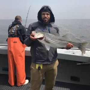 Meet your Posher, Alan